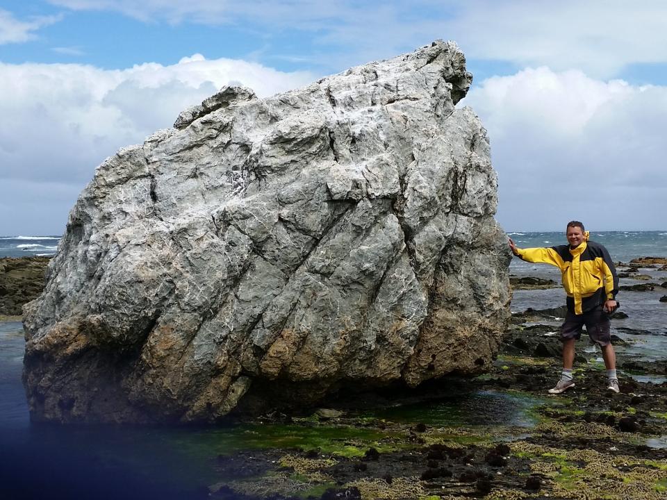 A boulder at the study site on Chatham Island, New Zealand.