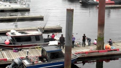 Image of a guest hand-feeding a seal (CNW Group/Fisheries and Oceans Canada, Pacific Region)