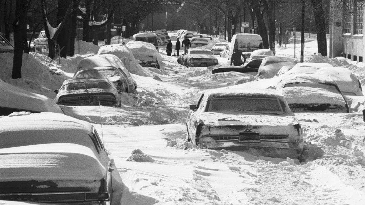 cars buried in snow following blizzard