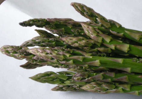 Asparagus–The Unlikely Birth Control?