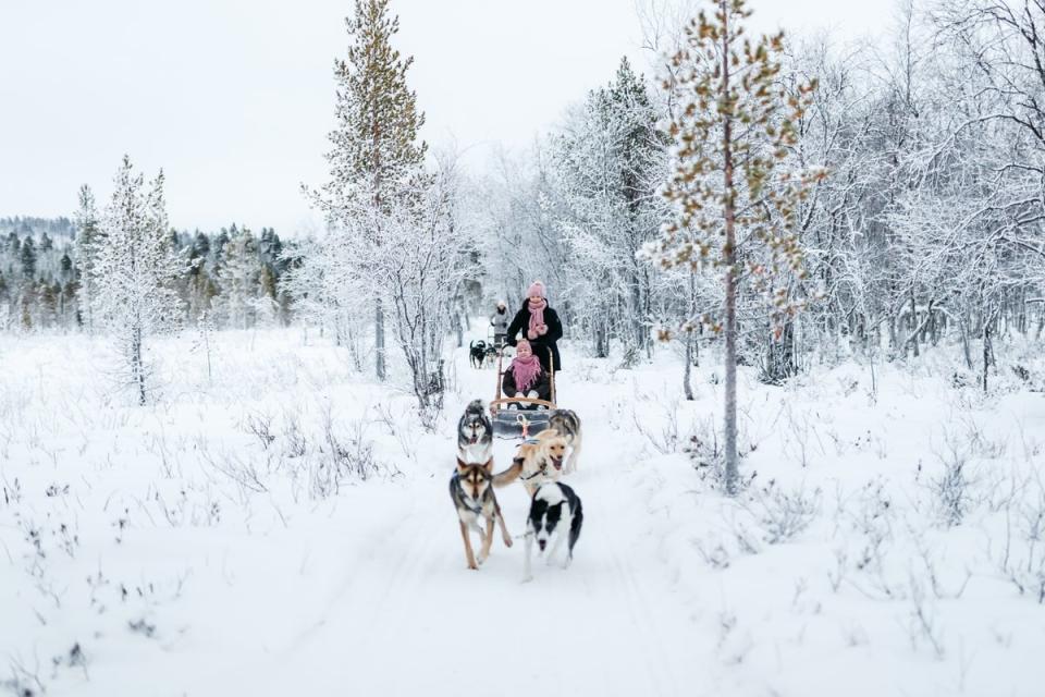 Husky sledding is one of many child-friendly activities (Felicity Byrnes)