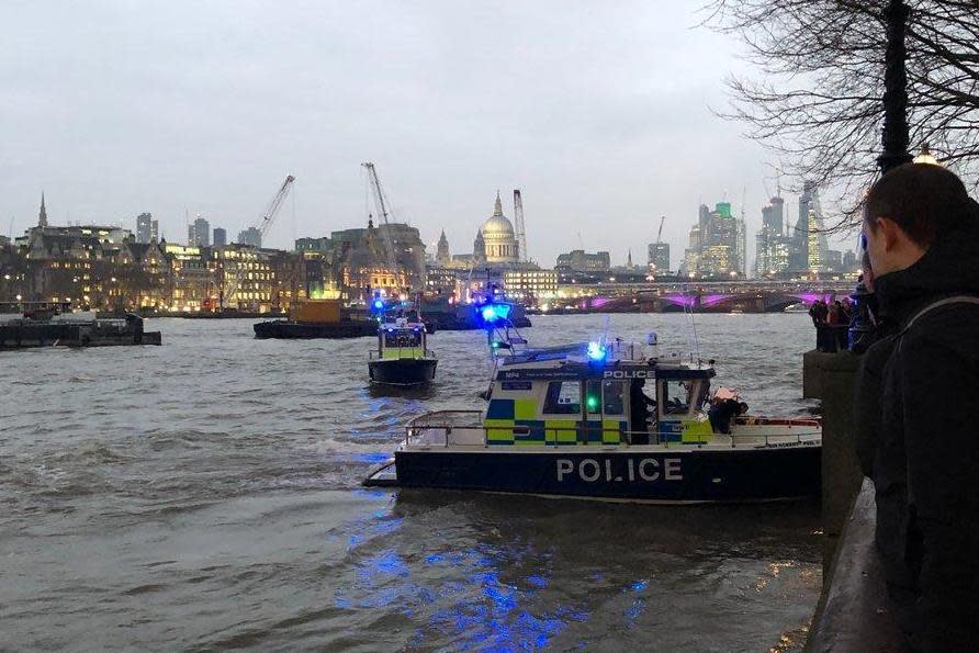 Rescue bid: Londoners look on from the banks as the drama unfolded: Twitter/@nickgow