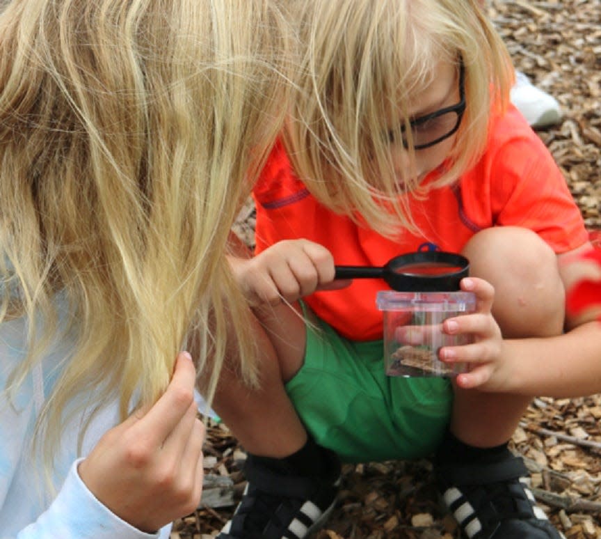 Students develop problem-solving skills through school garden projects.