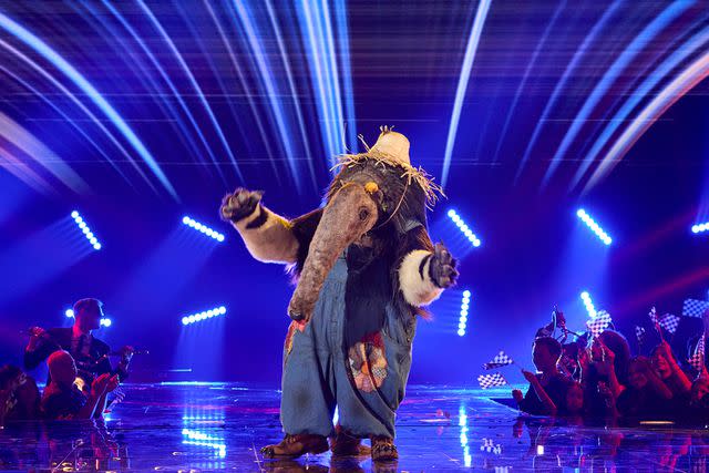 <p>Michael Becker/FOX</p> John Oates performing as Anteater on 'The Masked Singer' season 10.