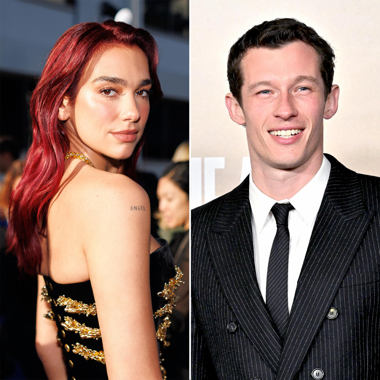 Dua Lipa and Callum Turner Have Been Dating a Little While