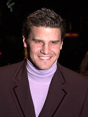 David Boreanaz at the Hollywood premiere of Warner Brothers' Valentine