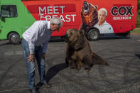 FILE - In this Tuesday, May 4, 2021, file photo, John Cox, Republican recall candidate for California governor, begins his statewide "Meet the Beast" bus tour with Tag, a Kodiak brown bear, at Miller Regional Park in Sacramento. A fading coronavirus crisis and an astounding windfall of tax dollars have reshuffled California's emerging recall election, allowing Democratic Gov. Gavin Newsom to talk of a mask-free future and propose billions in new spending for schools and businesses as he looks to fend off Republicans who depict him as a foppish failure. (Renee C. Byer/The Sacramento Bee via AP, File)