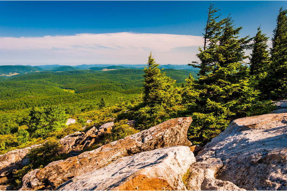 Spruce Knob-Seneca Rocks National Recreation Area