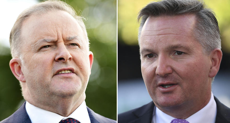 Anthony Albanese (left)  and Shadow Treasurer Chris Bowen (right) are confirmed candidates for the Labor Party leadership.  