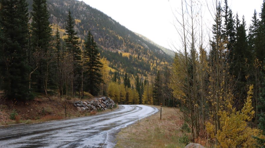 Fall leaves - Guanella Pass 2