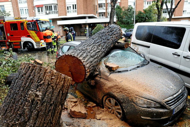 Tempête Ciaran : ce que l'on sait de l'accident mortel d'un