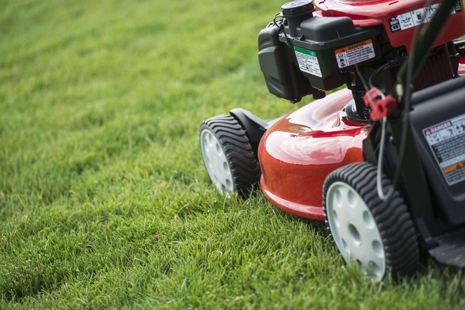 close up view on red lawn mower on green grass