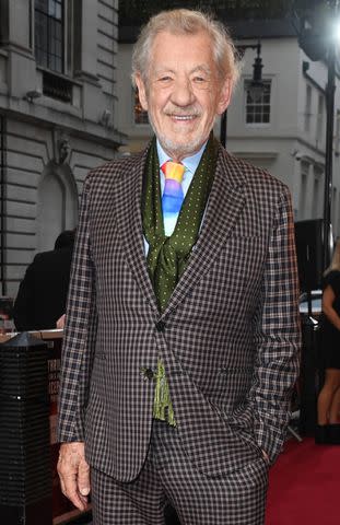 <p>Alan Chapman/Dave Benett/WireImage</p> Sir Ian McKellen