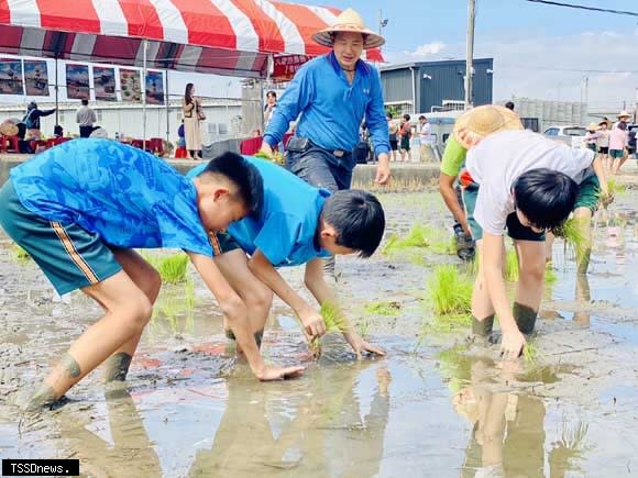 永隆國小學生下田體驗插秧。