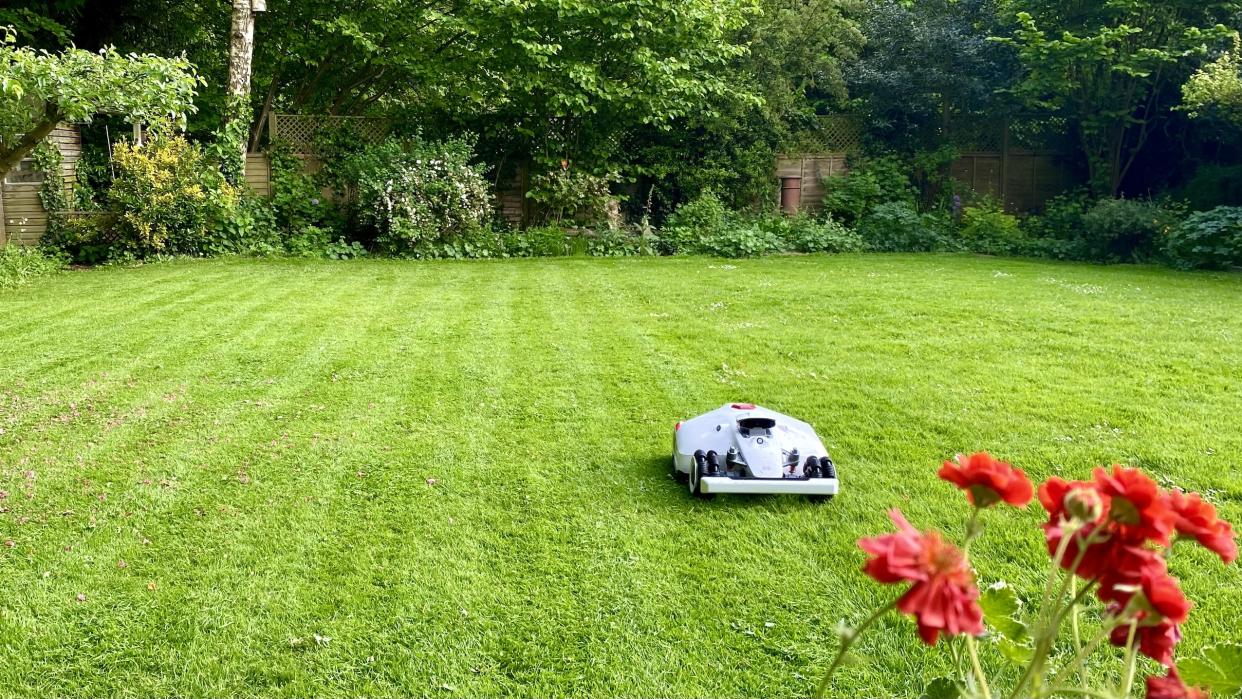  Mammotion LUBA 2 AWD on UK lawn. 