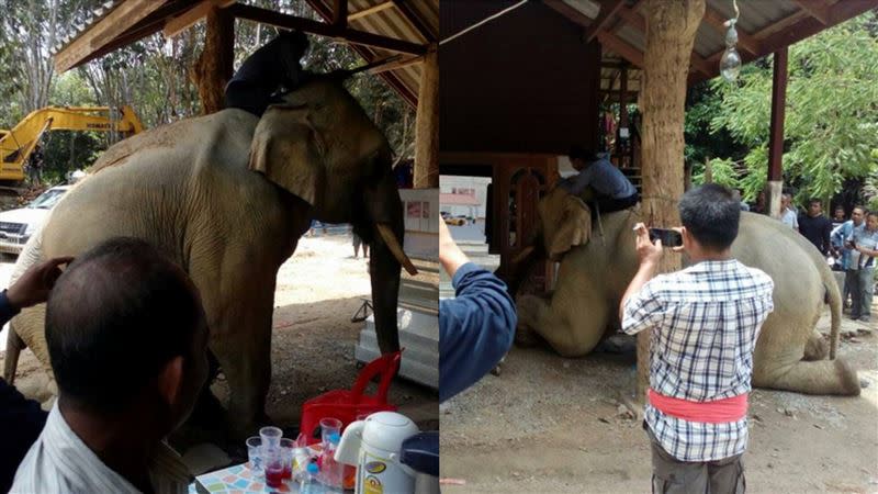 大象得知飼主死亡，失控地衝進靈堂。（圖／翻攝自ทัชดา ชื่นพระแสง臉書）