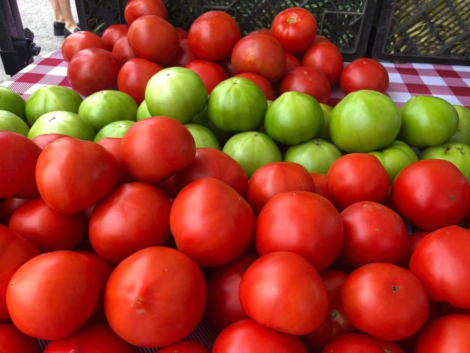 Pleasant Fields Farm sells Hanover tomatoes at the Colonial Heights Farmers Market in June 2023.