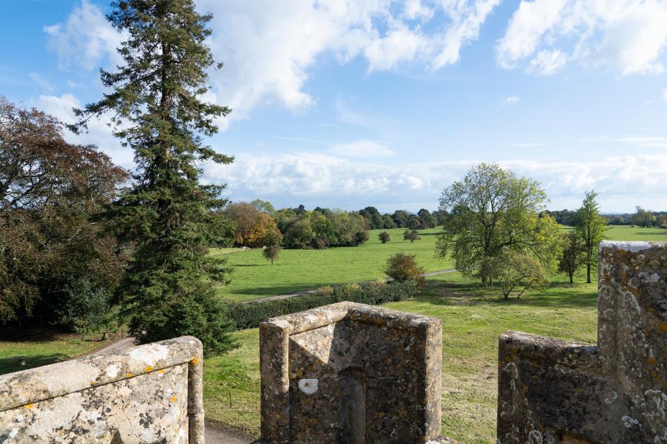 The view from Elmestree House Estate