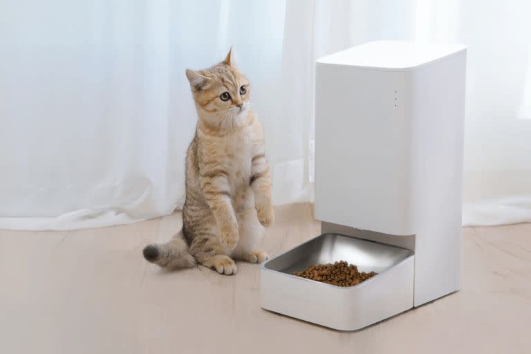 Un Xiaomi Smart Pet Feeder