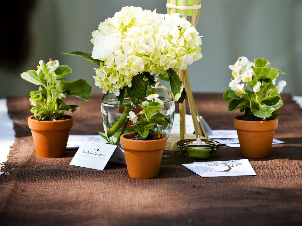 table setting at party with potted plants and flowers