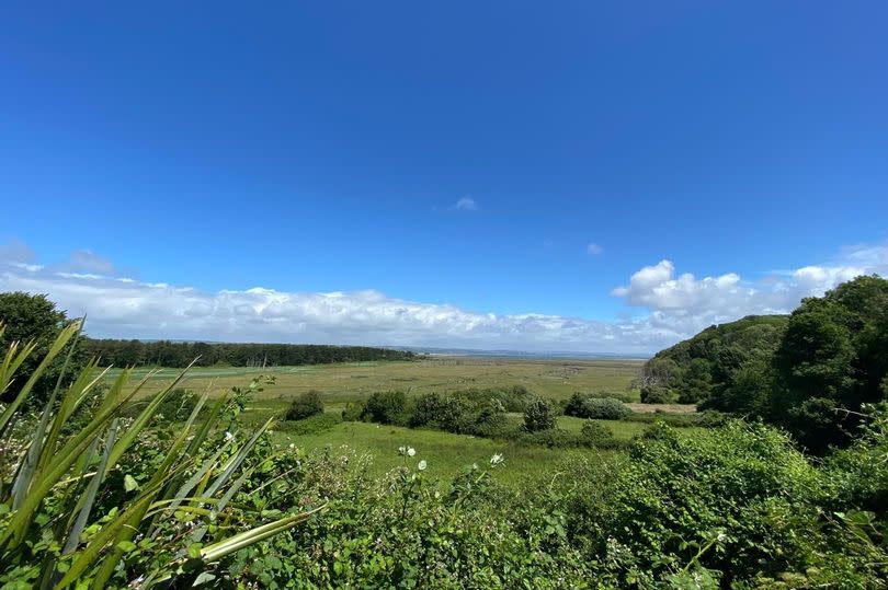 View of marshland and sky