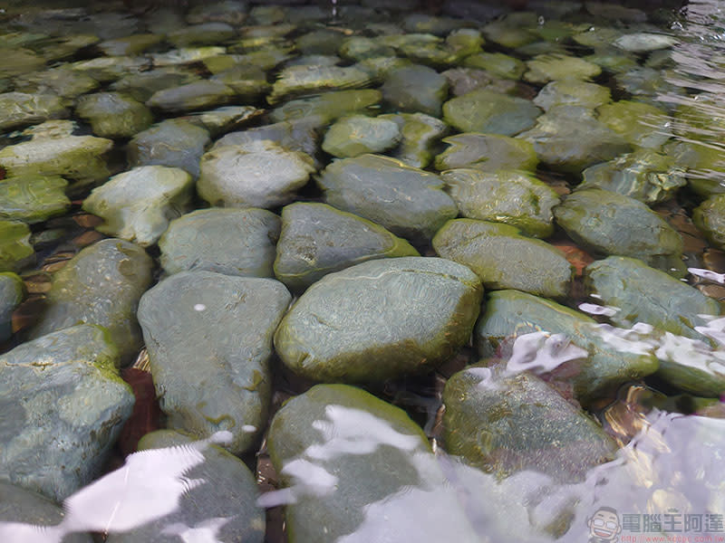 用Xperia 5發現都市裡的風景，用另一個角度發現幸福感