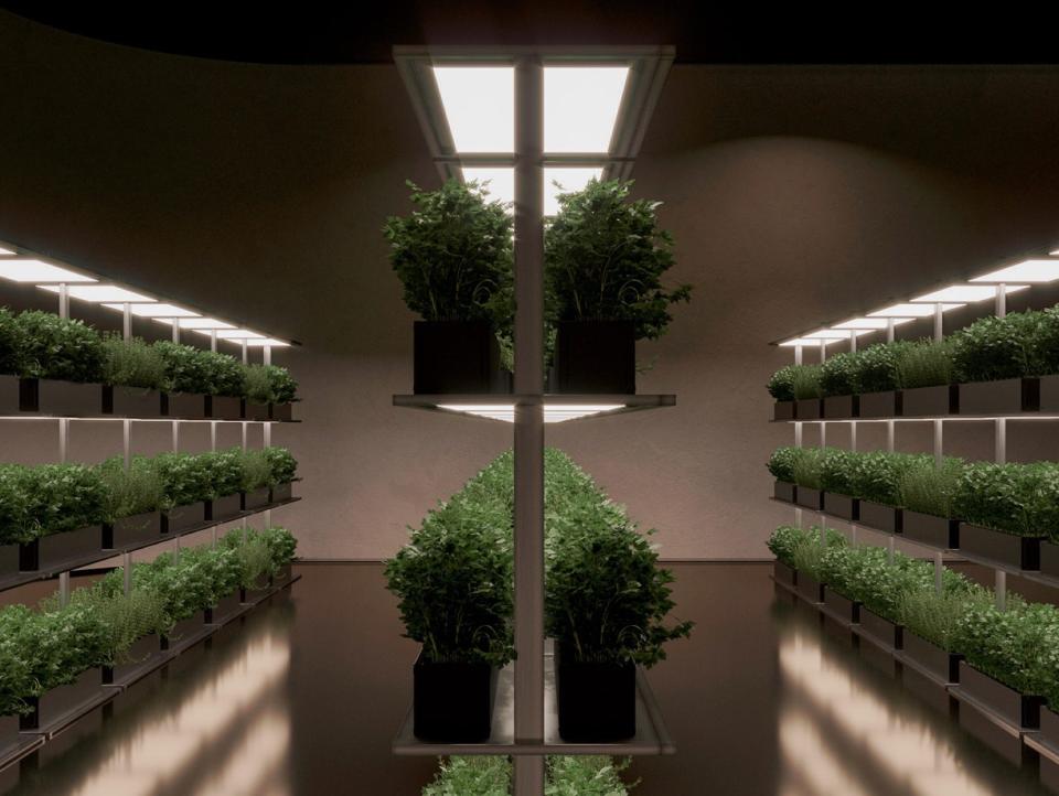 Room for growing food - Plan B Bunker Concept - Sergey Makhno Architects