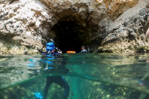 Tucked under white rocks by the town of Peyia in southwest Cyprus, caves provide sanctuary to some of the seven to 10 monk seals found in Cypriot waters, according to the government