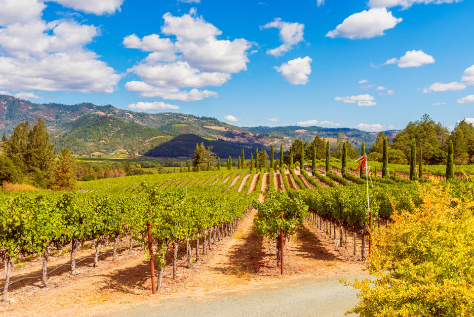 Una vista de los viñedos en Napa Valley, zona con vinos premiados, California/Getty Images.