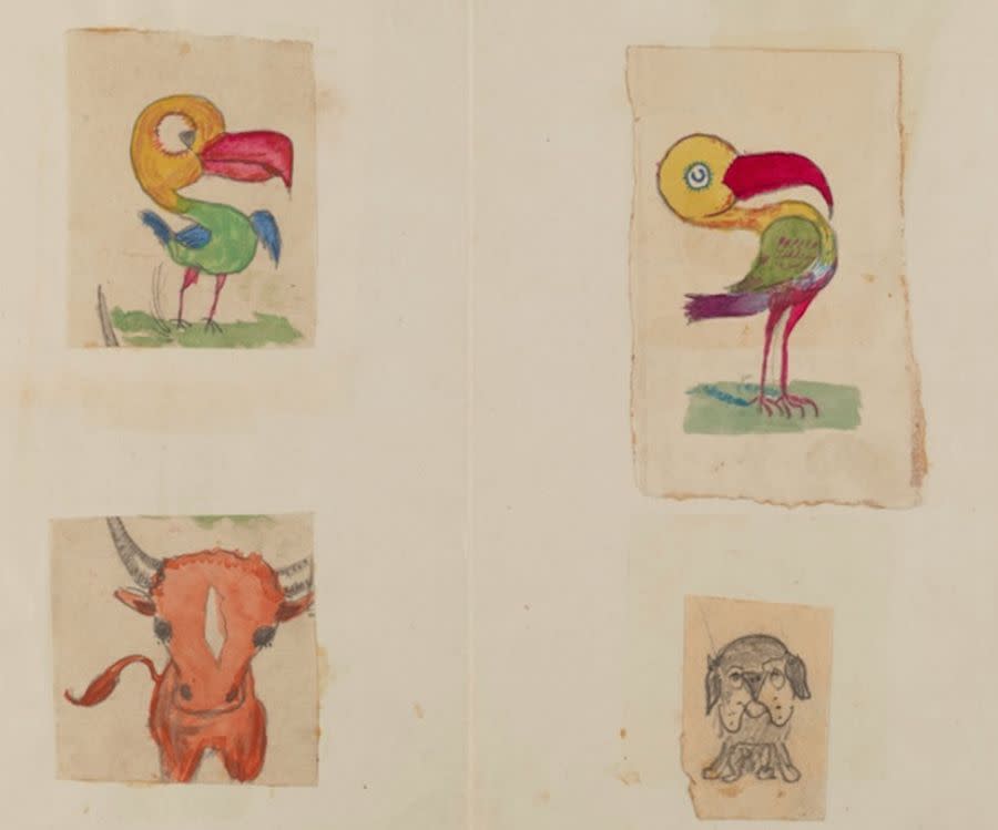 Los dibujos de los hijos de Darwin