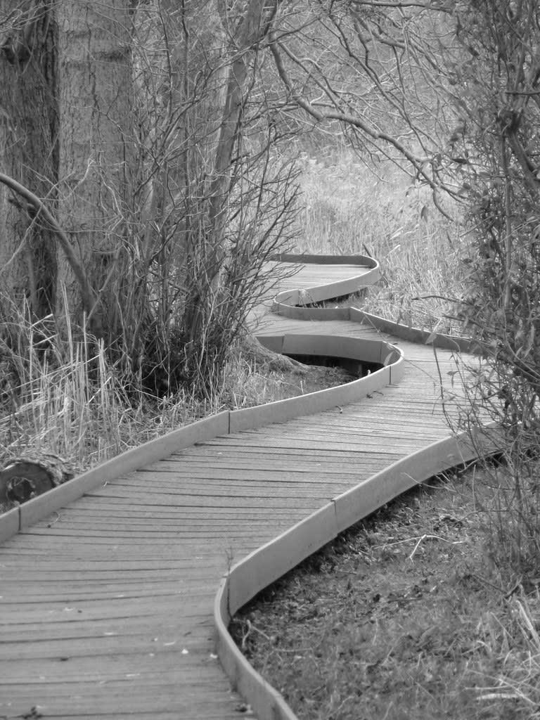 bendy walkway