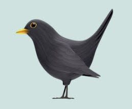 black bird emoji