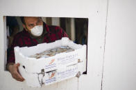 A fisherman, wearing a protective mask, unloads a boat at Fiumicino fishing port, in the outskirts of Rome Monday, March 30, 2020. Italy’s fishermen still go out to sea at night, but not as frequently in recent weeks since demand is down amid the country's devastating coronavirus outbreak. (AP Photo/Andrew Medichini)