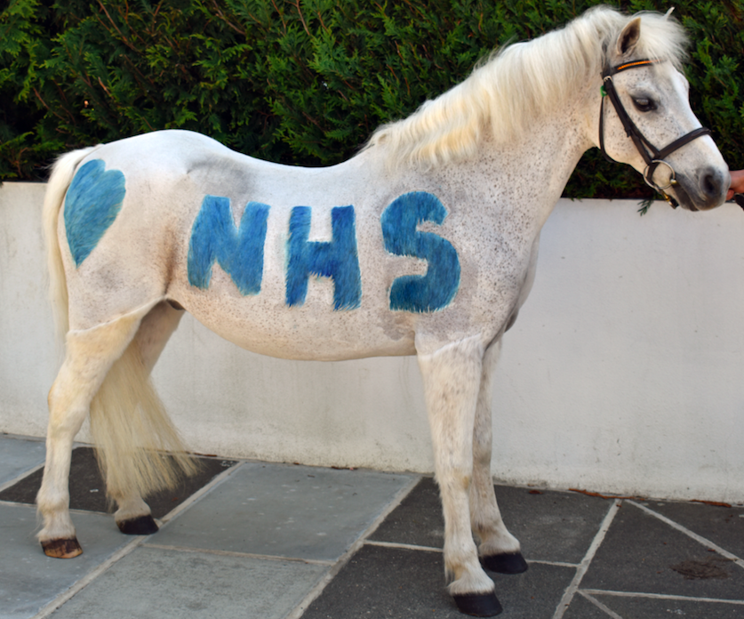 <p>The stables started the “tiny pony at your window” campaign during lockdown to help combat loneliness  </p> (Park Lane Stables)