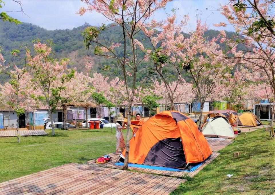  高雄六龜山林花語的遠山望月露營場。   圖：高雄市觀光局提供