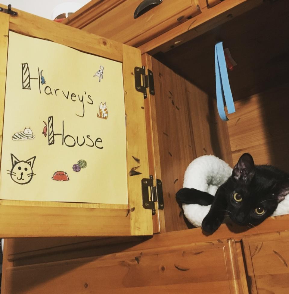 <p>El dormitorio de Harvey está dentro de un armario. LOL! (Foto: Instagram / <a rel="nofollow noopener" href="https://www.instagram.com/p/Bd9m39unfz5/" target="_blank" data-ylk="slk:@perky4you;elm:context_link;itc:0;sec:content-canvas" class="link ">@perky4you</a>). </p>