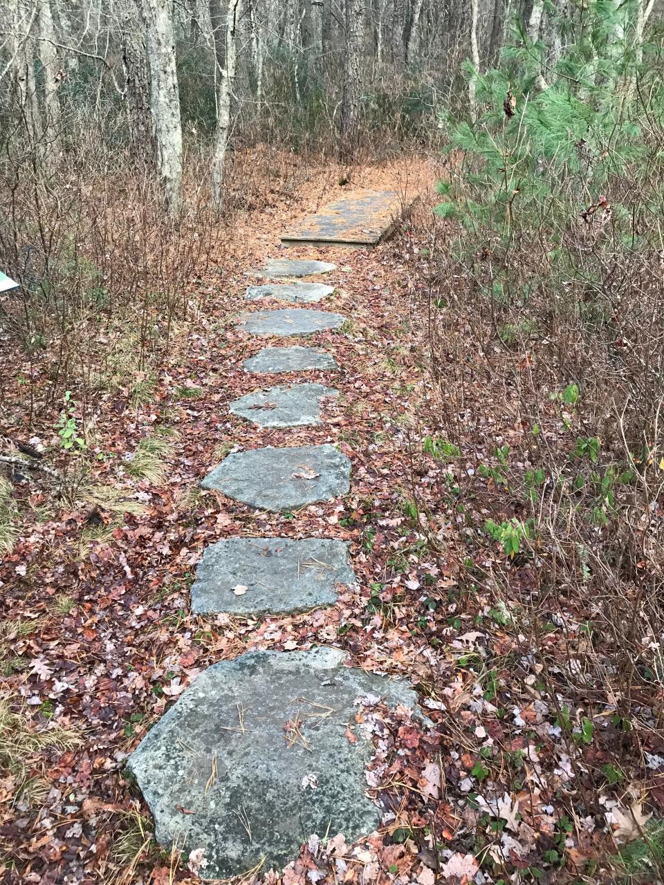 The blue-blazed trail at Browning Woods crosses flat fieldstones across an area that is swampy in some seasons.