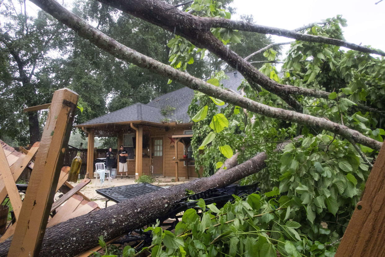 Two people survey damage from a fallen tree.