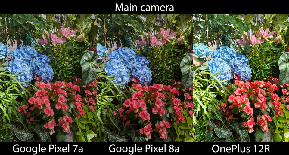 Comparing the Google Pixel 8a's camera with the Pixel 7a and OnePlus 12R