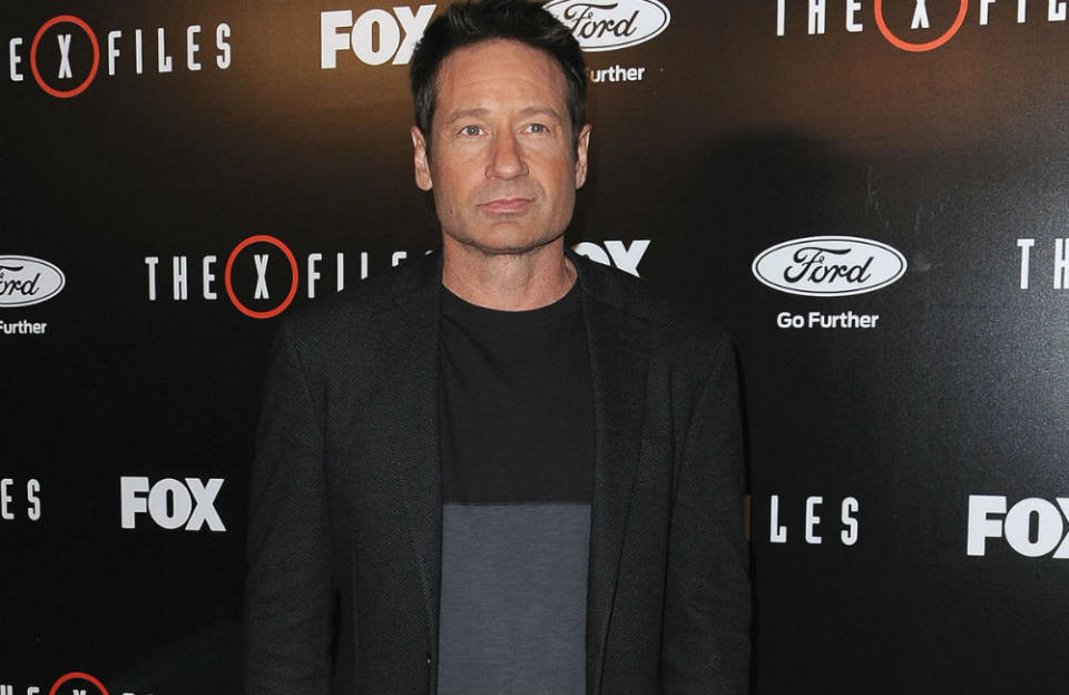 David Duchovny has been cast in 'Adam the First' credit:Bang Showbiz