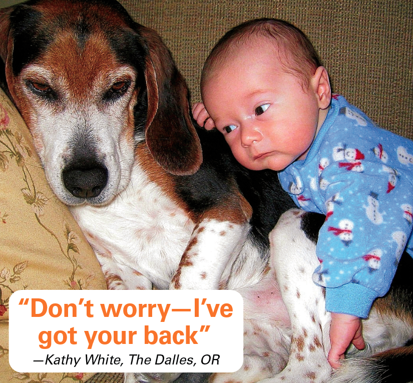 Caption contest winners: Baby laying on beagle with caption 