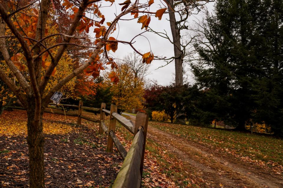 The Dawes Arboretum in fall. The Newark arboretum is just over a half hour from Columbus.