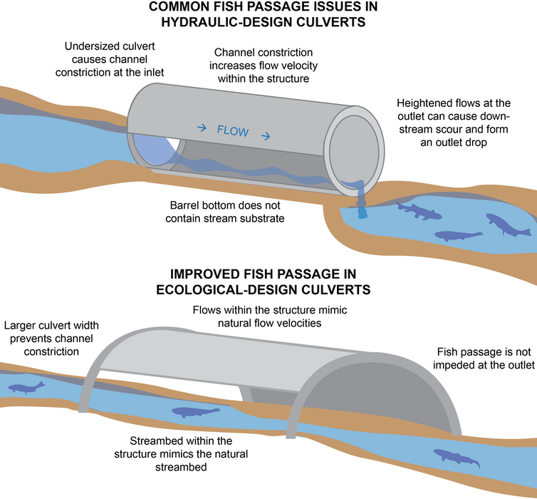 A diagram comparing a hydraulic culvert with an ecological design that allows fish to move freely upstream.