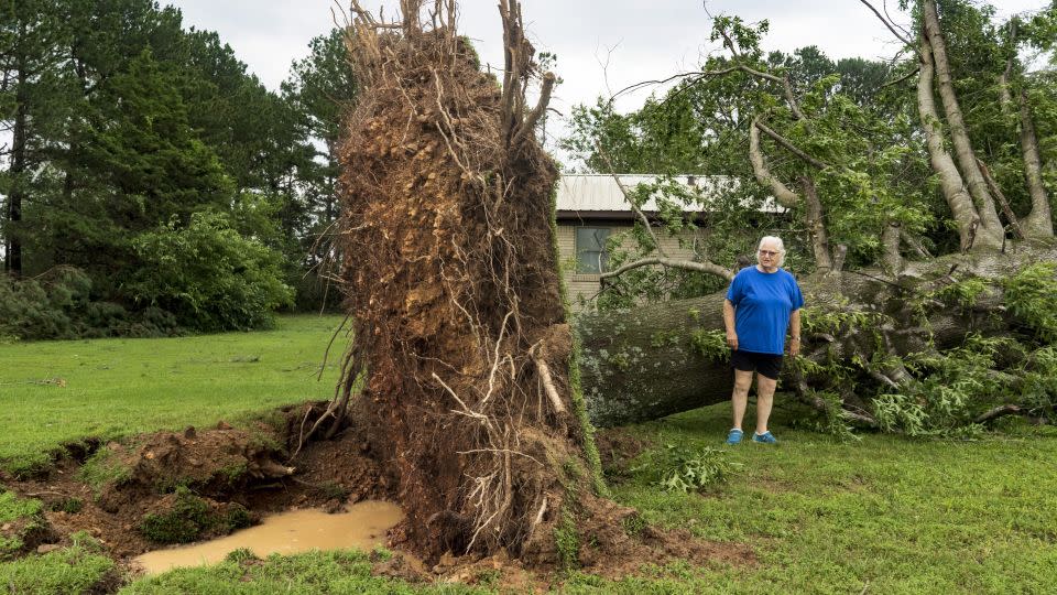 Betty Wood stands next to a downed 50-foot-tree on her property on Sunday, May 26, 2024, in Rogers, Arkansas. - Charlie Kaijo/The Northwest Arkansas Democrat-Gazette/AP