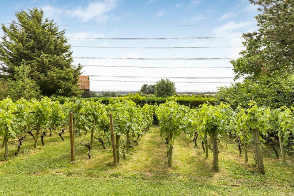 grade ii listed home with vineyard for sale essex