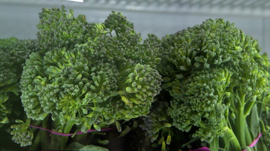 Inside of one of the refrigerators was fresh broccolini to purchase.