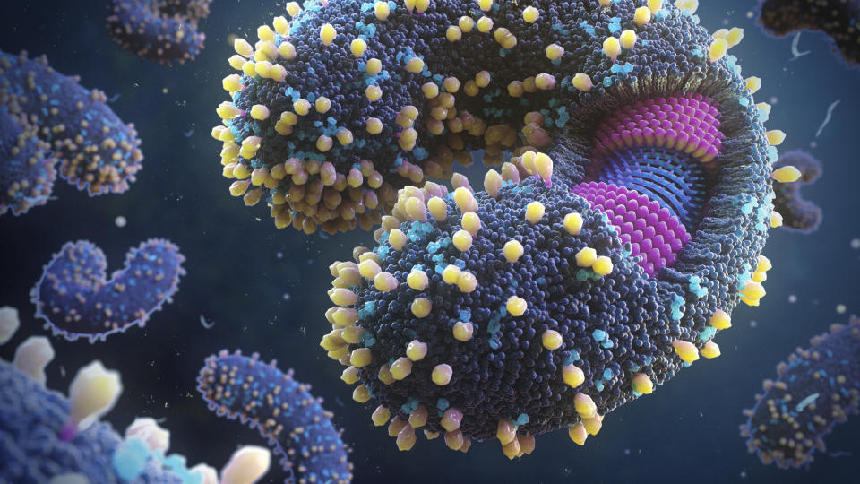 Never-before-seen viruses found in the ocean