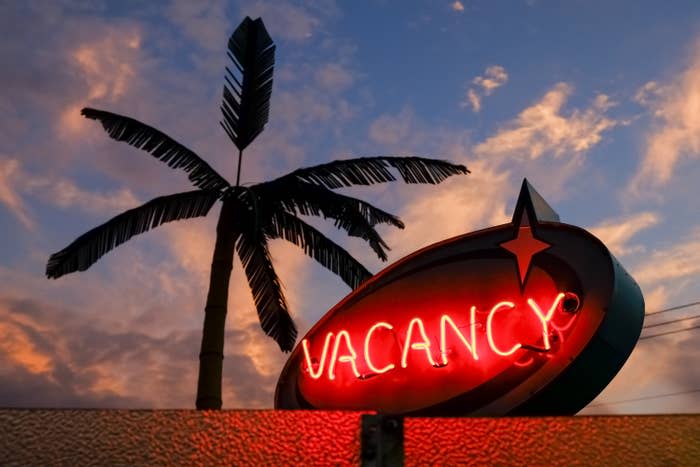 Neon sign that says "VACANCY" in front of a palm tree silhouette