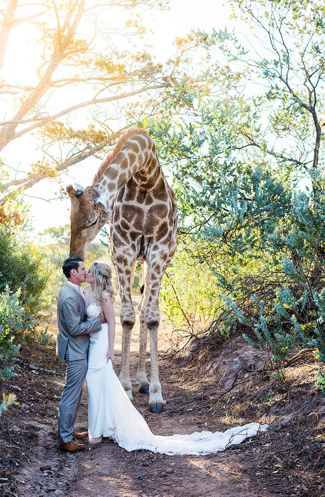 Luke Karshagen and Tristan Burns had an unusual guest star in their wedding photos. (Photo: <a href="https://www.stephanienormanphotography.com/" rel="nofollow noopener" target="_blank" data-ylk="slk:Stephanie Norman;elm:context_link;itc:0;sec:content-canvas" class="link ">Stephanie Norman</a>)