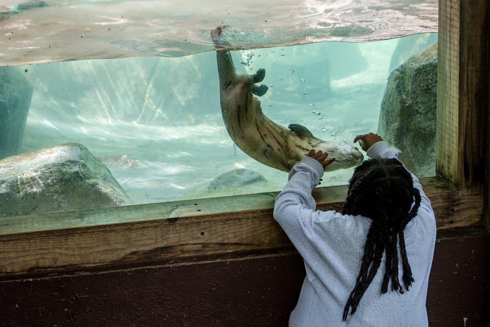 Nalia Henderson, 9, of Georgia, interacts with an otter at the WNC Nature Center June 2, 2022.